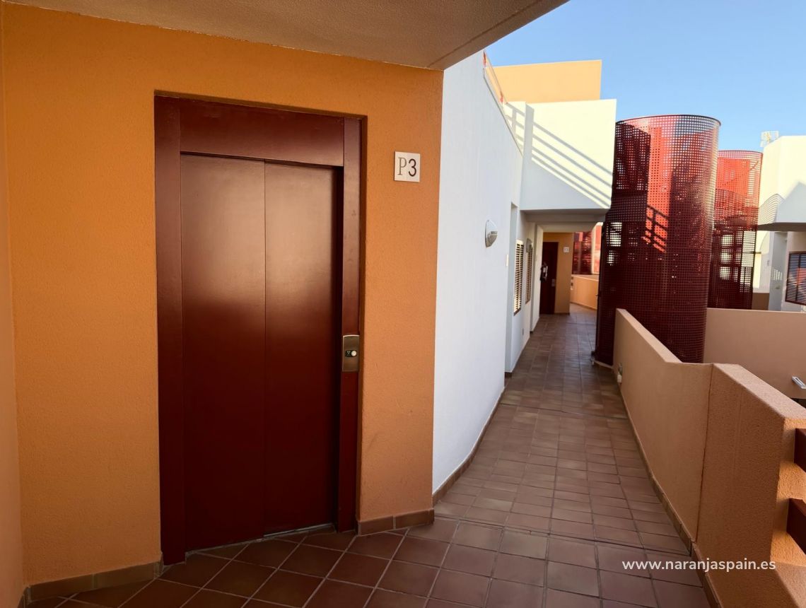 Segunda Mano - Ático - Orihuela Costa - Punta Prima