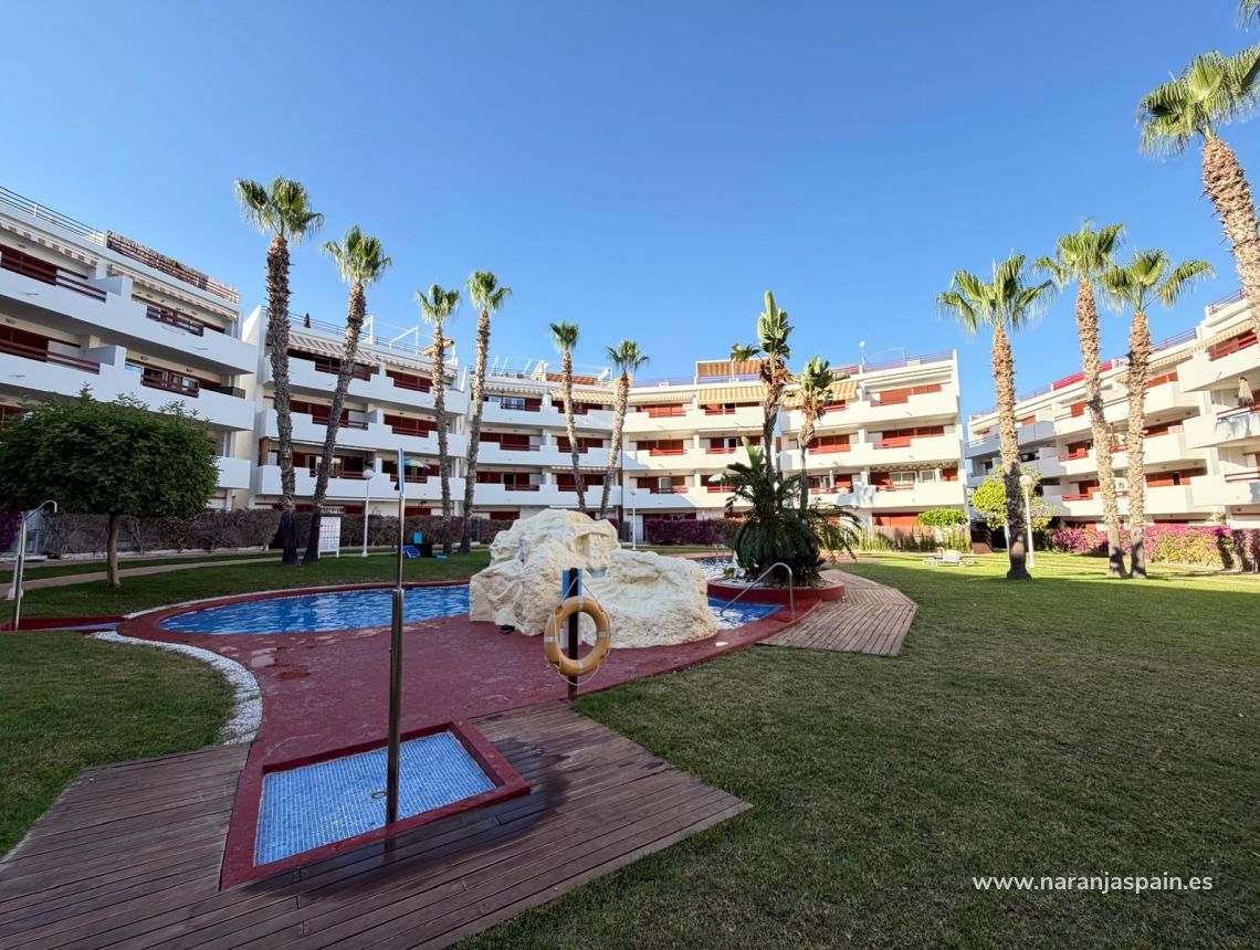 Segunda Mano - Ático - Orihuela Costa - Punta Prima