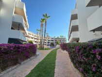 Segunda Mano - Ático - Orihuela Costa - Punta Prima