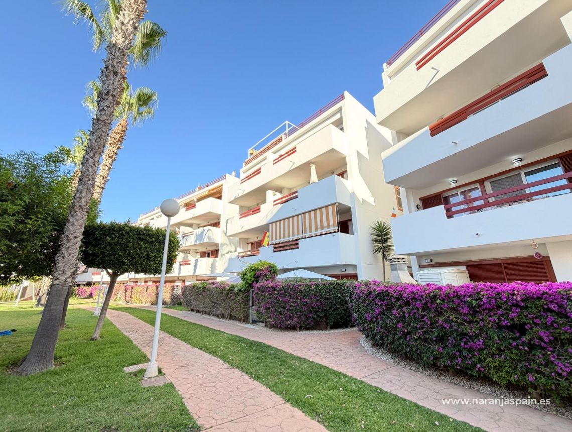 Segunda Mano - Ático - Orihuela Costa - Punta Prima