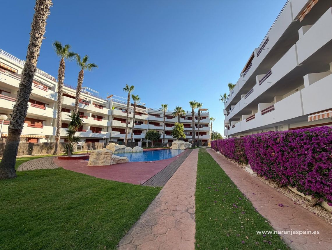 Segunda Mano - Ático - Orihuela Costa - Punta Prima