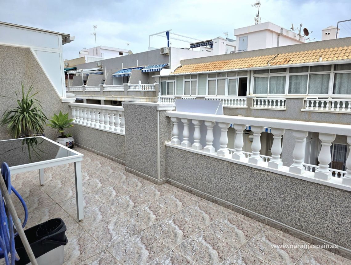 Segunda Mano - Ático - Torrevieja - Curva del Palangre