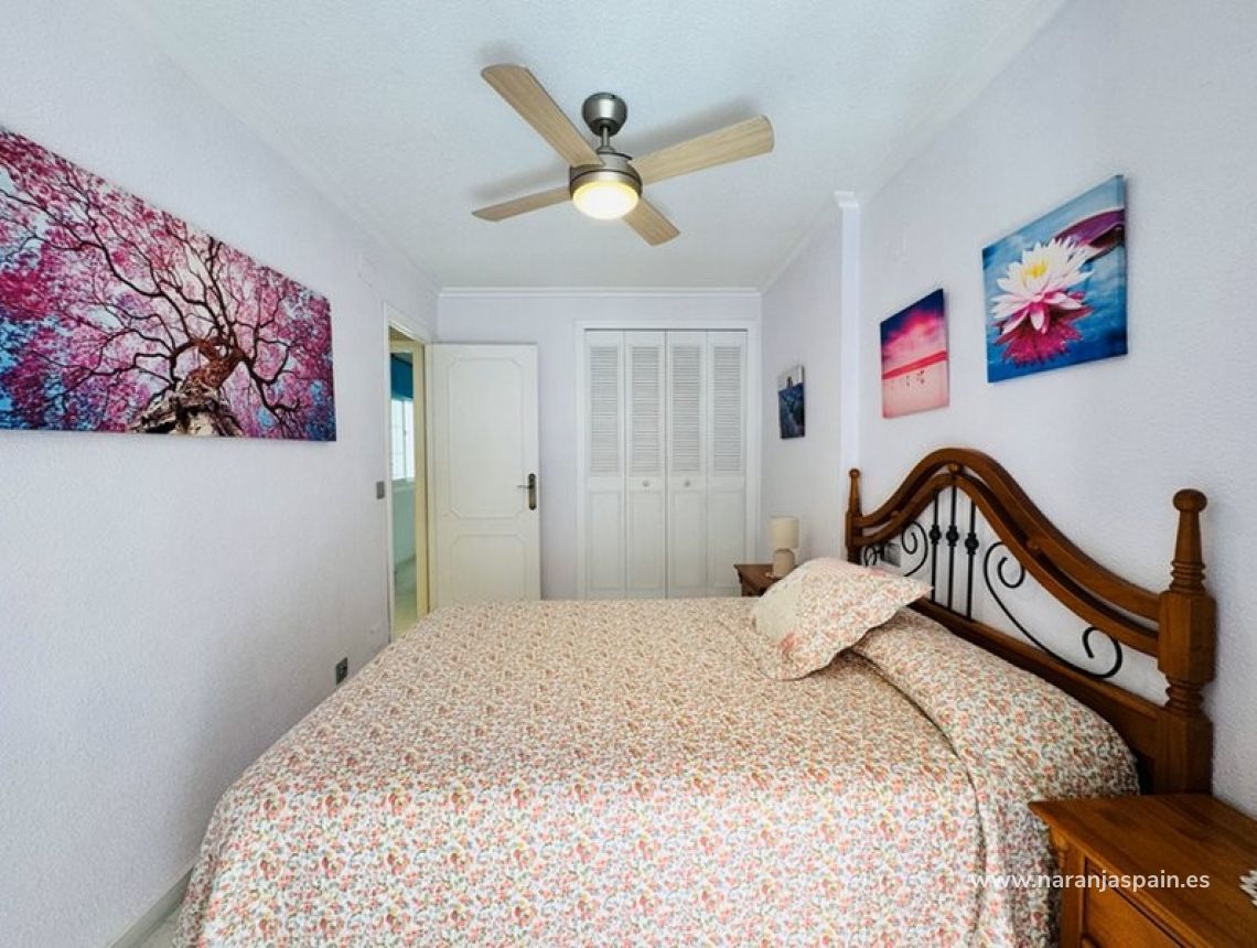 Segunda Mano - Bungalow - La Mata, Torrevieja - TORREVIEJA