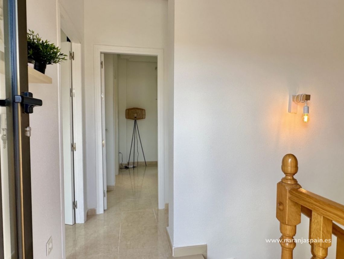 Segunda Mano - Bungalow - San Miguel de Salinas