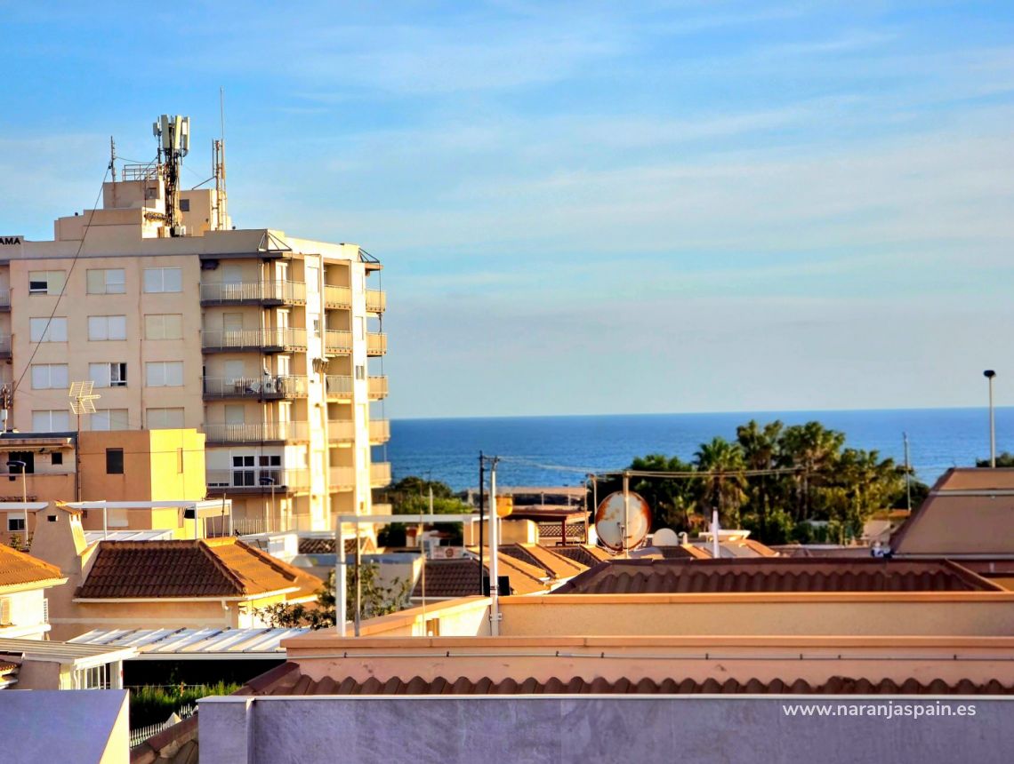Segunda Mano - Bungalow - Torrevieja - Los Frutales