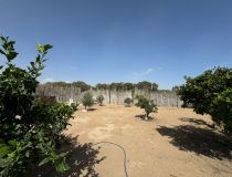 Segunda Mano - Casa de pueblo - Guardamar del Segura - Playa Guardamar