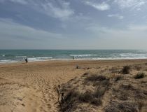 Segunda Mano - Casa de pueblo - Guardamar del Segura - Playa Guardamar