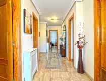 Segunda Mano - Chalet - Torrevieja - Los Balcones - Los Altos del Edén