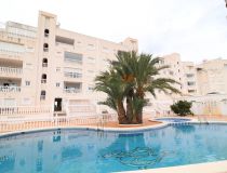  - Segunda Mano - Guardamar del Segura - KA-2639