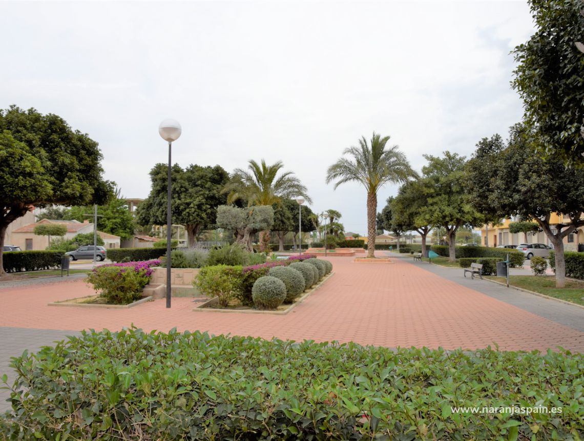 Sprzedaż - Apartament - Catral