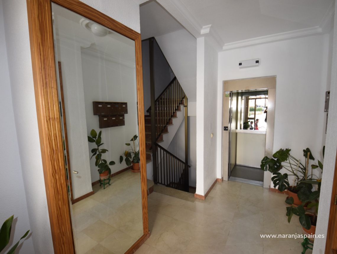 Sprzedaż - Apartament - Guardamar del Segura - Centrum Guardamar