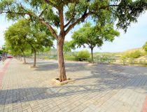 Sprzedaż - Apartament - Guardamar del Segura - Centrum Guardamar