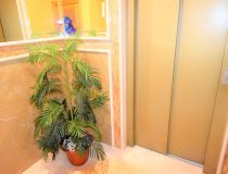 Sprzedaż - Apartament - Guardamar del Segura - Centrum Guardamar