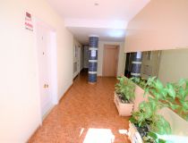 Sprzedaż - Apartament - Guardamar del Segura - Harbour Guardamar