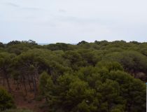 Sprzedaż - Apartament - Guardamar del Segura - Harbour Guardamar