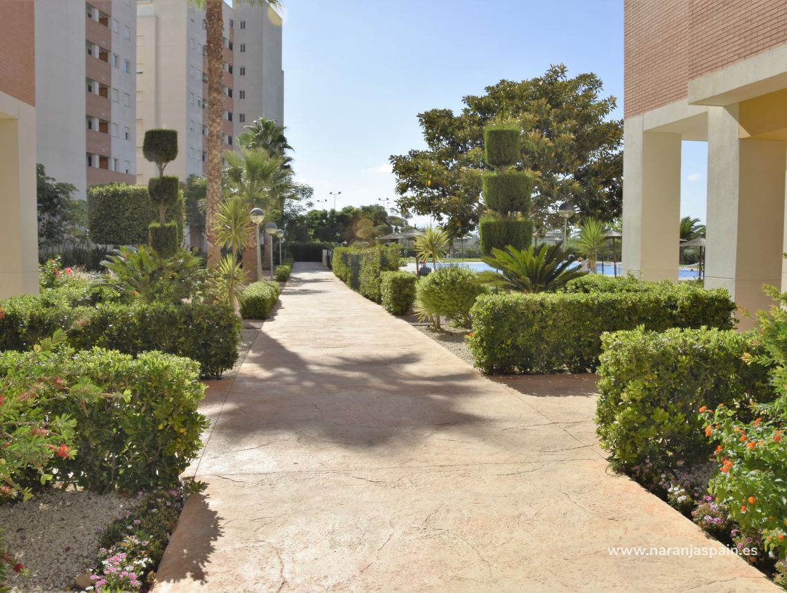 Sprzedaż - Apartament - Guardamar del Segura - Harbour Guardamar