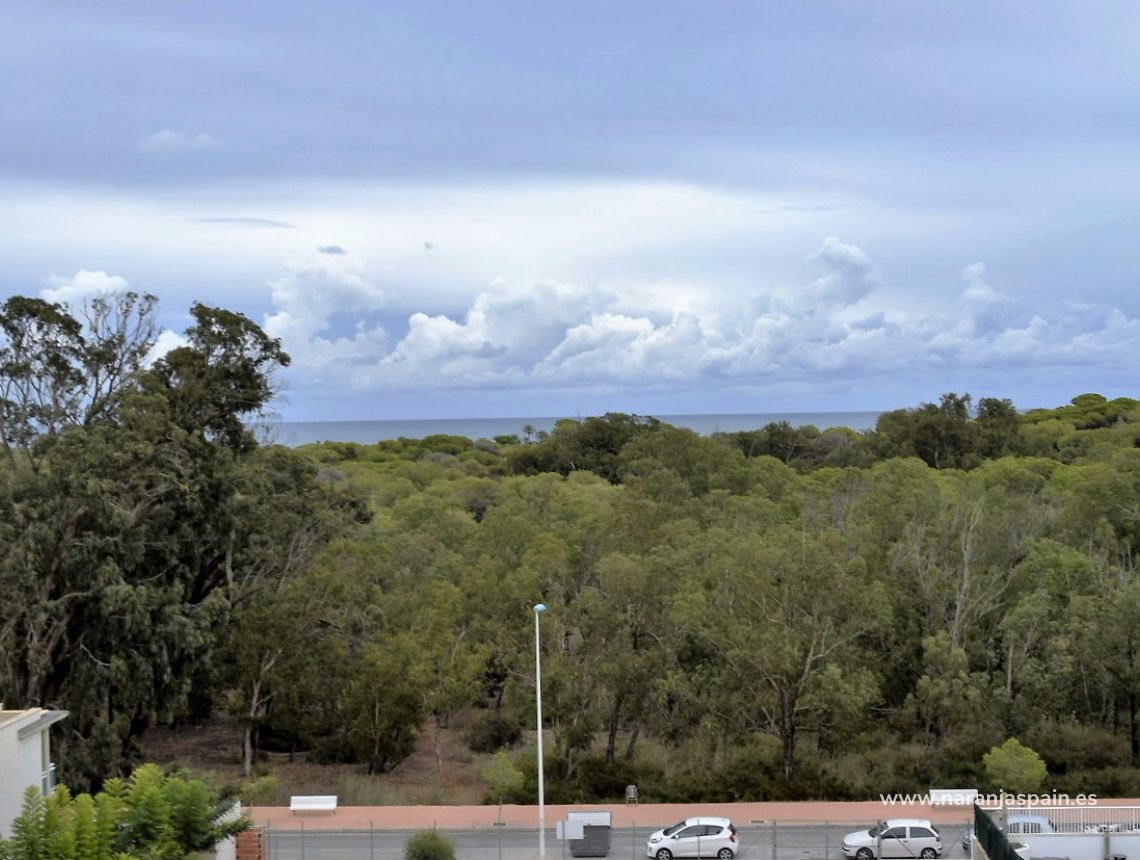 Sprzedaż - Apartament - Guardamar del Segura - Harbour Guardamar