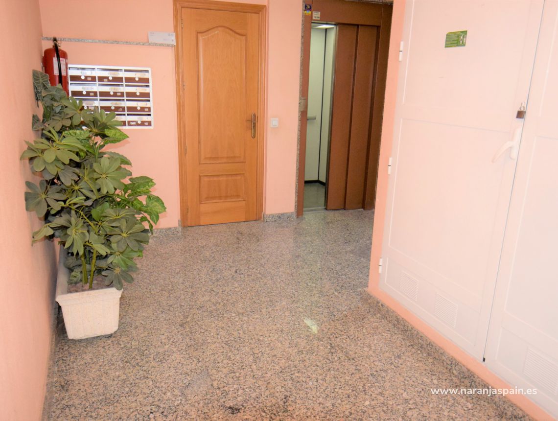 Sprzedaż - Apartament - Guardamar del Segura - Mercadona Guardamar