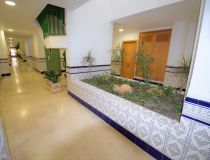 Sprzedaż - Apartament - Guardamar del Segura - Mercadona Guardamar