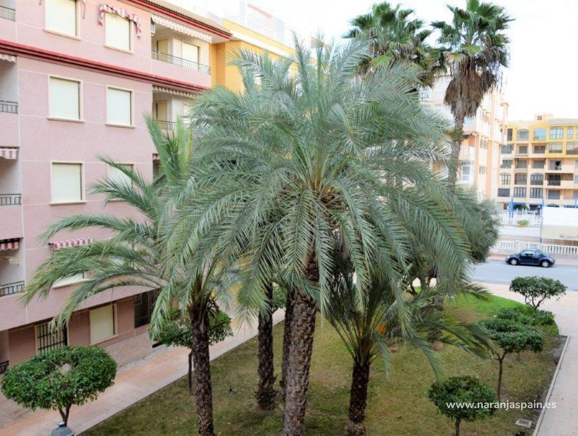 Sprzedaż - Apartament - Guardamar del Segura - Mercadona Guardamar