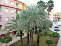 Sprzedaż - Apartament - Guardamar del Segura - Mercadona Guardamar