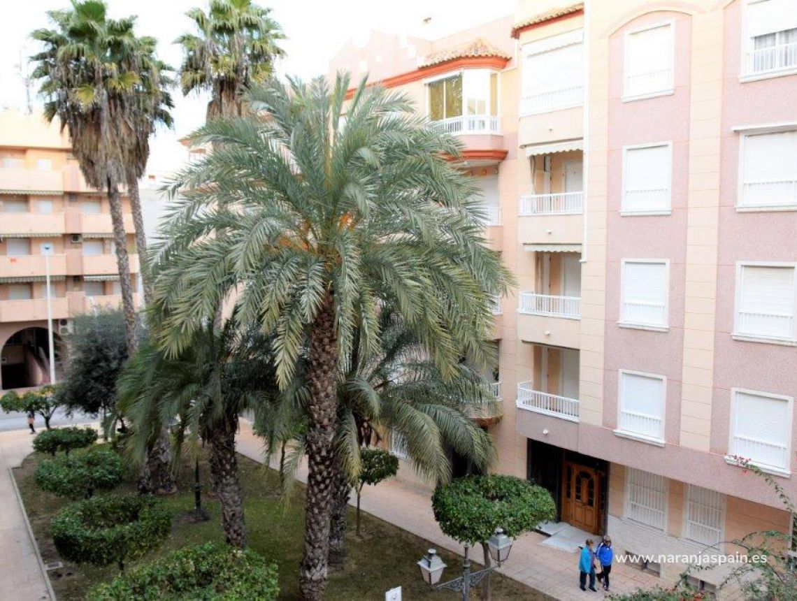 Sprzedaż - Apartament - Guardamar del Segura - Mercadona Guardamar