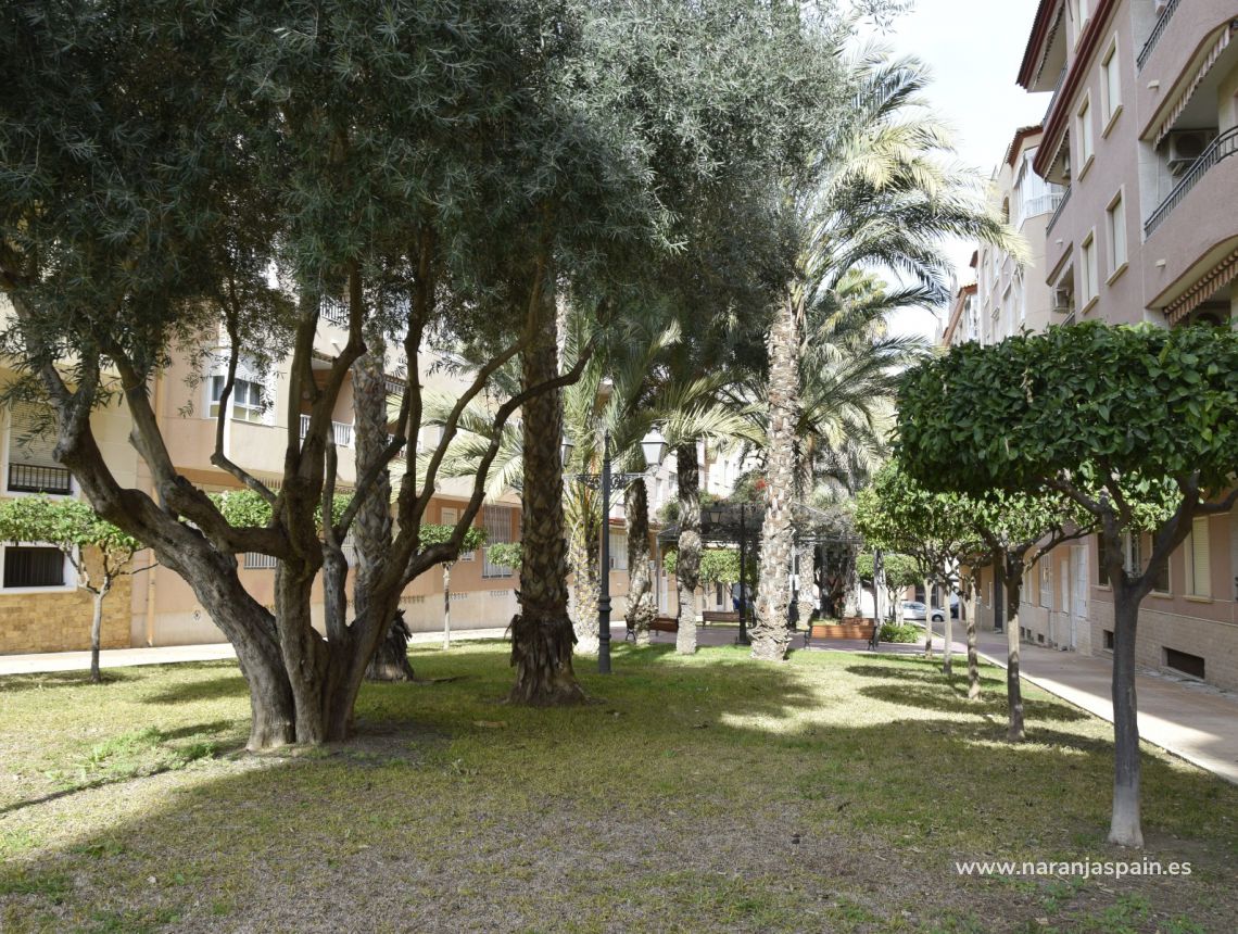 Sprzedaż - Apartament - Guardamar del Segura - Mercadona Guardamar