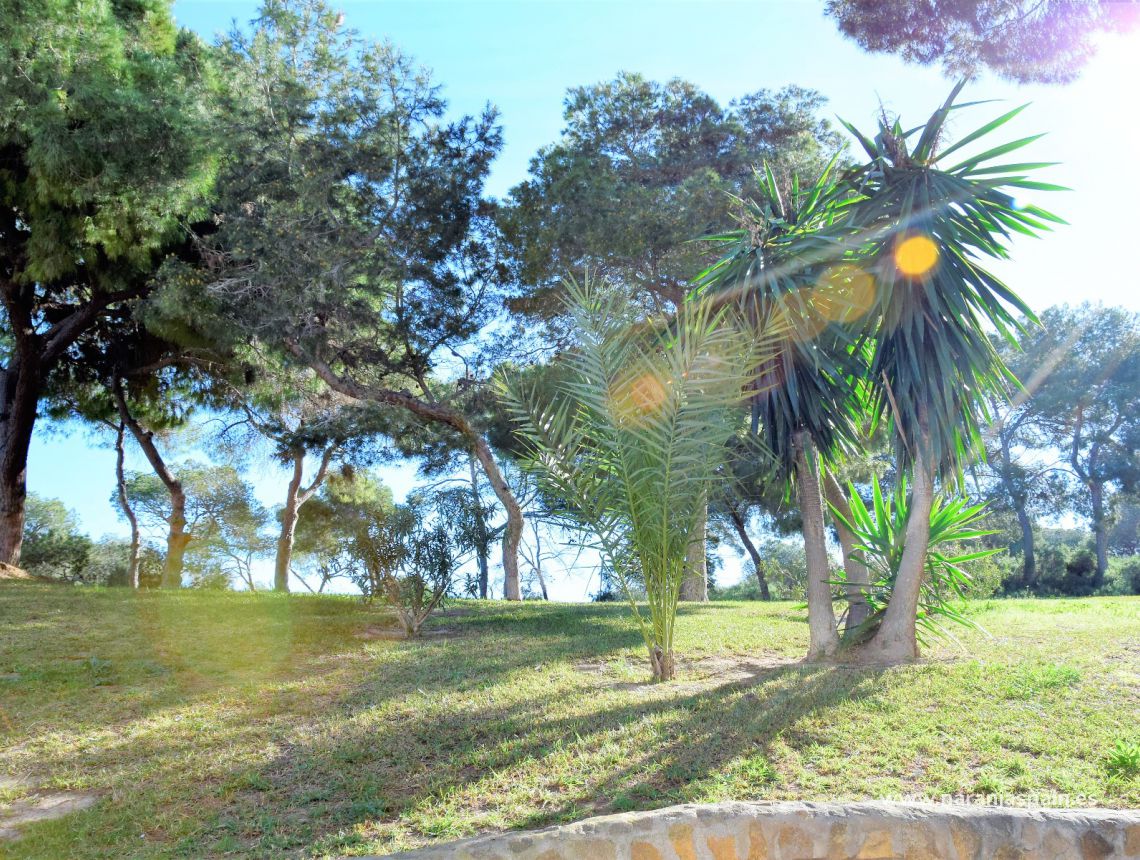 Sprzedaż - Apartament - Guardamar del Segura - Park Reina Sofia