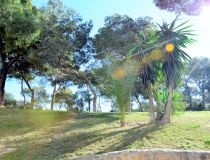 Sprzedaż - Apartament - Guardamar del Segura - Park Reina Sofia