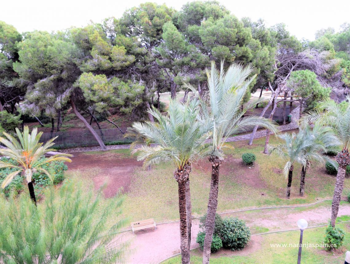 Sprzedaż - Apartament - Guardamar del Segura - Park Reina Sofia