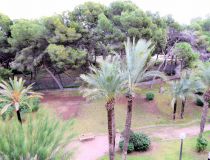 Sprzedaż - Apartament - Guardamar del Segura - Park Reina Sofia