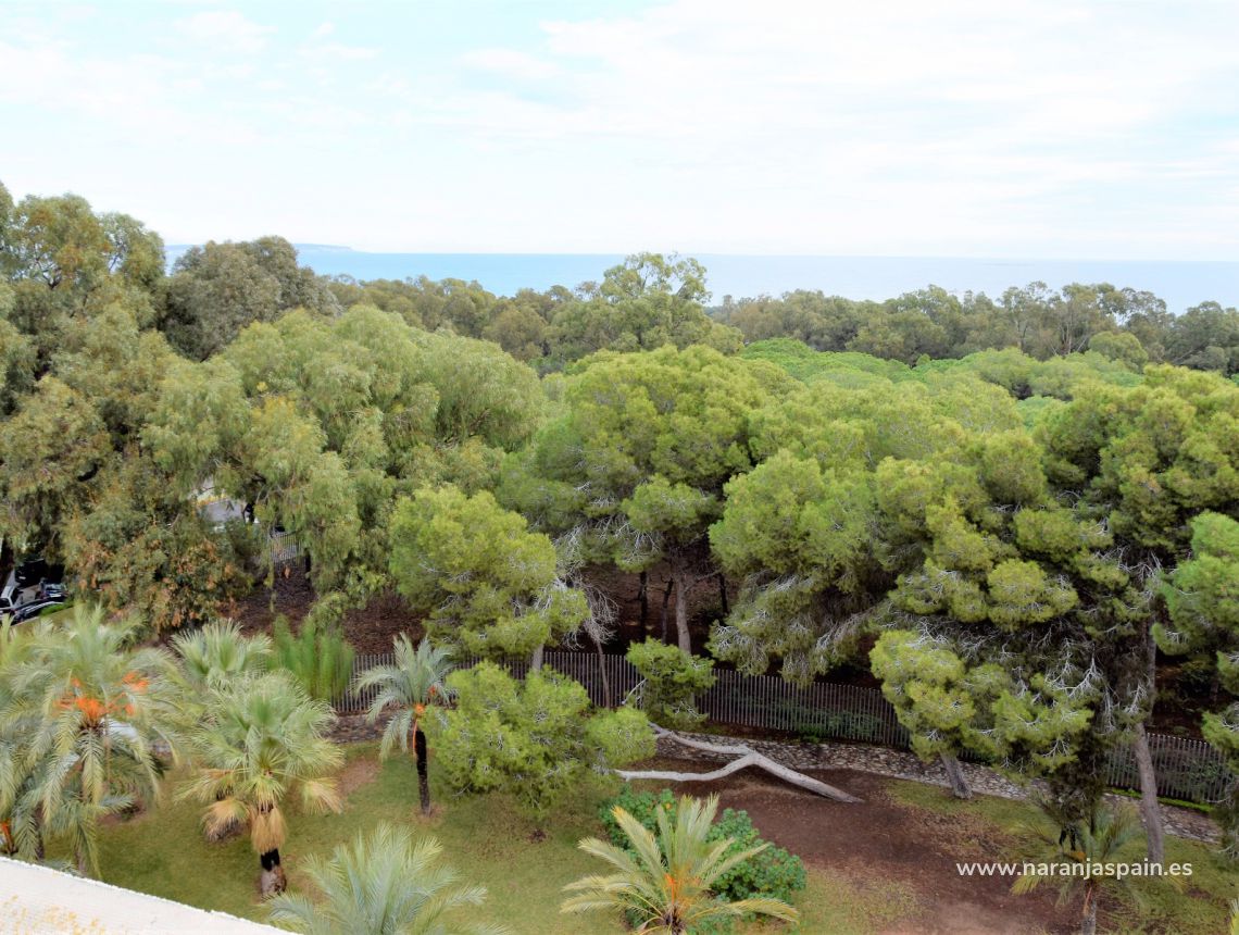 Sprzedaż - Apartament - Guardamar del Segura - Park Reina Sofia