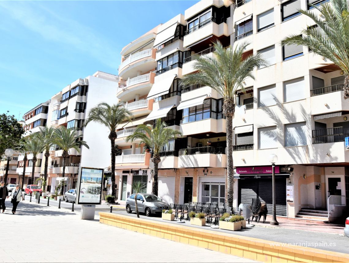 Sprzedaż - Apartament - Guardamar del Segura - Park Reina Sofia