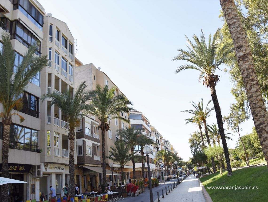 Sprzedaż - Apartament - Guardamar del Segura - Park Reina Sofia