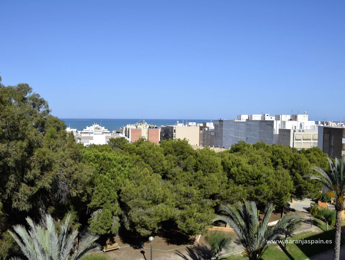 Sprzedaż - Apartament - Guardamar del Segura - Park Reina Sofia