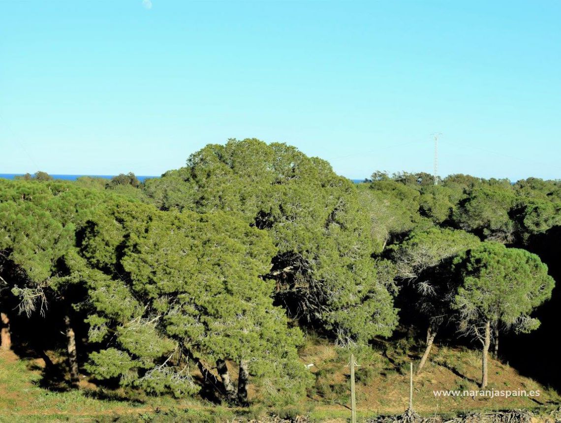 Sprzedaż - Apartament - Guardamar del Segura - Pineforest