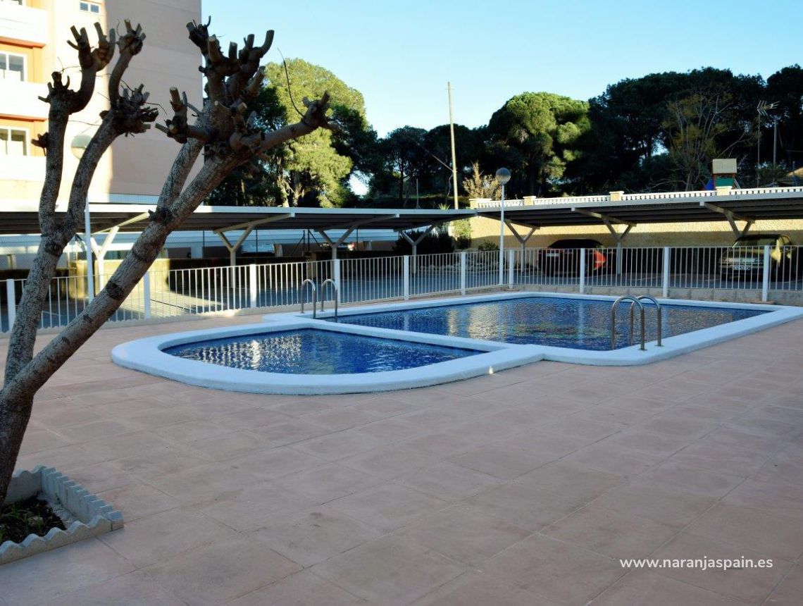 Sprzedaż - Apartament - Guardamar del Segura - Pineforest