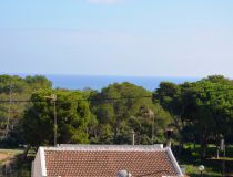 Sprzedaż - Apartament - Guardamar del Segura - Pineforest