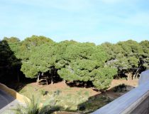 Sprzedaż - Apartament - Guardamar del Segura - Pineforest