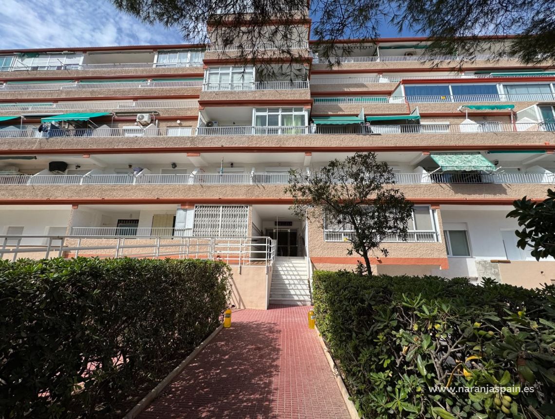Sprzedaż - Apartament - Guardamar del Segura - Pinomar