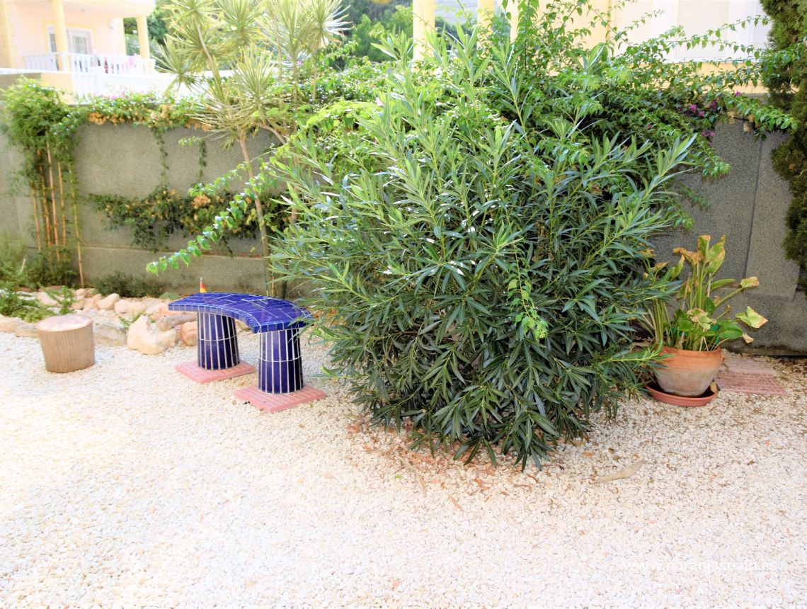 Sprzedaż - Apartament - Guardamar del Segura - Plaża Guardamar