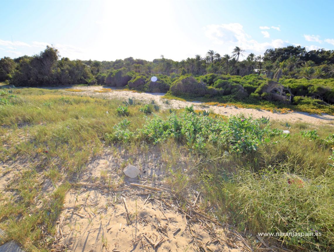 Sprzedaż - Apartament - Guardamar del Segura - Plaża Guardamar