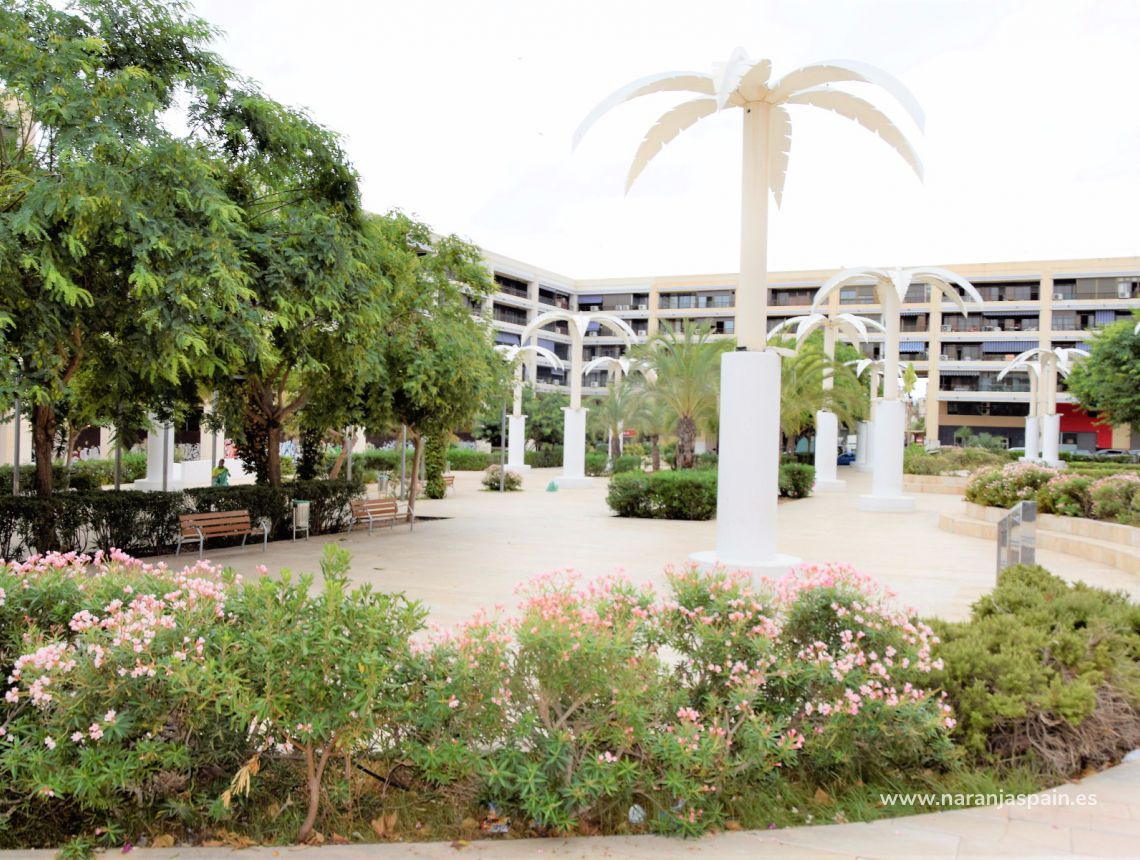 Sprzedaż - Apartament - Guardamar del Segura - Plaza Porticada