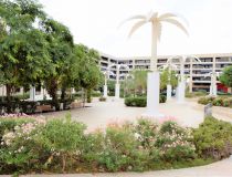 Sprzedaż - Apartament - Guardamar del Segura - Plaza Porticada