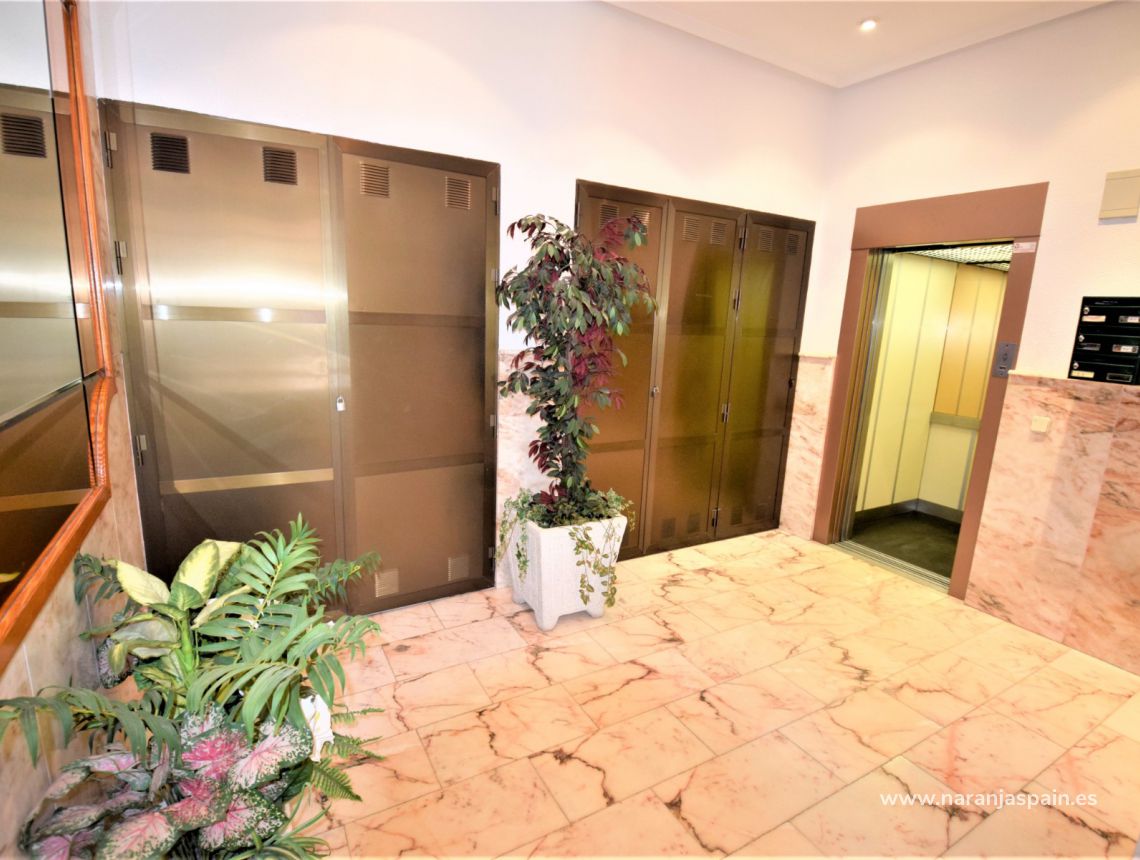 Sprzedaż - Apartament - Guardamar del Segura - Plaza Porticada