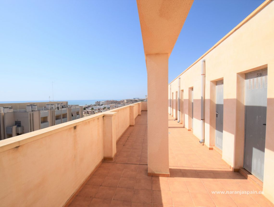 Sprzedaż - Apartament - Guardamar del Segura - Plaza Porticada