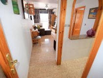 Sprzedaż - Apartament - Guardamar del Segura - Plaza Porticada