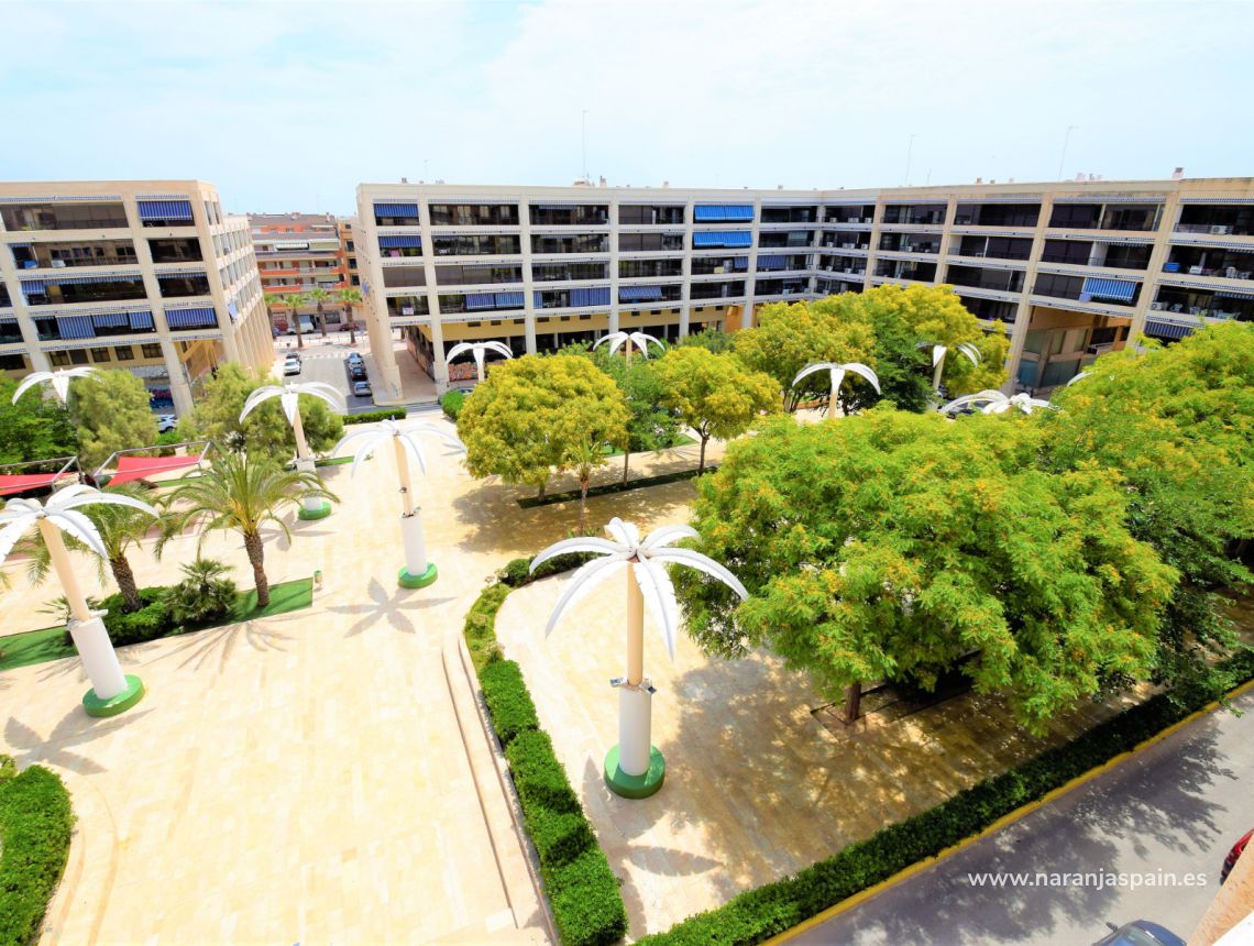 Sprzedaż - Apartament - Guardamar del Segura - Plaza Porticada