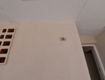 Sprzedaż - Apartament - Guardamar del Segura - Puerto