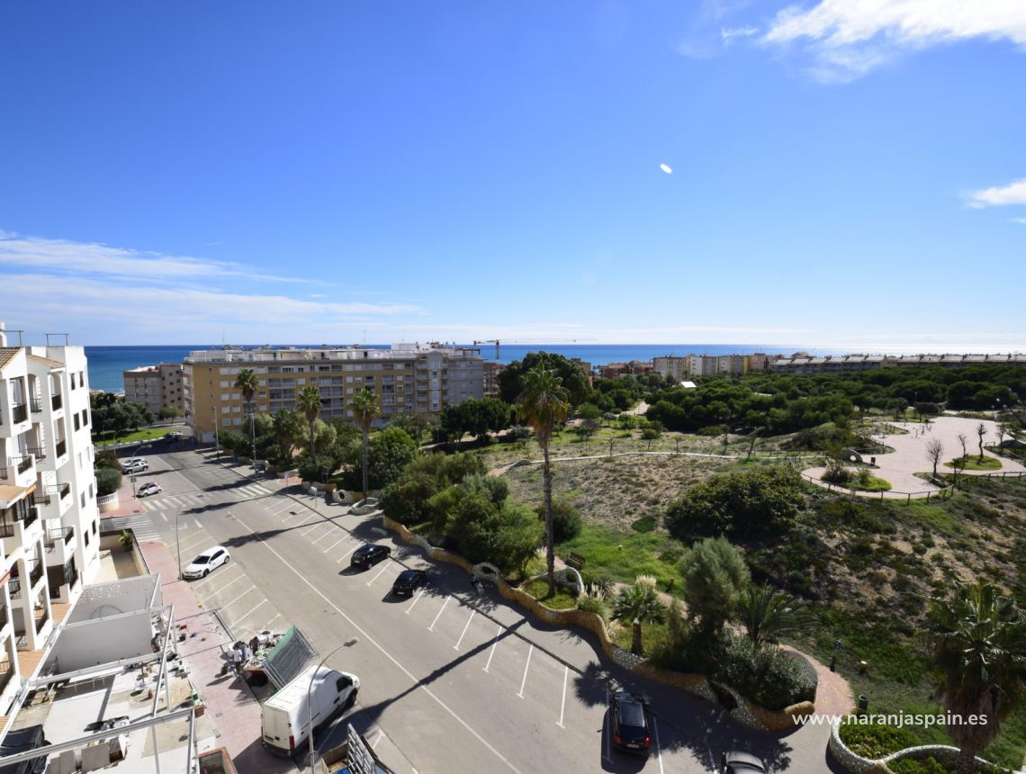 Sprzedaż - Apartament - Guardamar del Segura - South Park